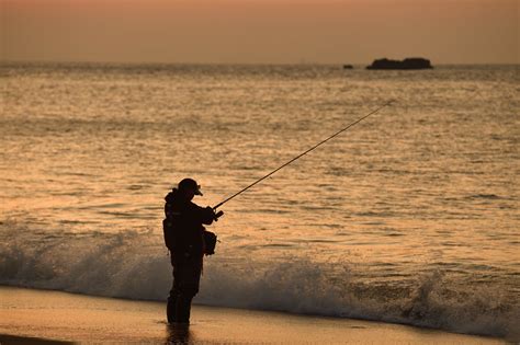 水墨魚|【FF14で釣りをする】 水墨魚 